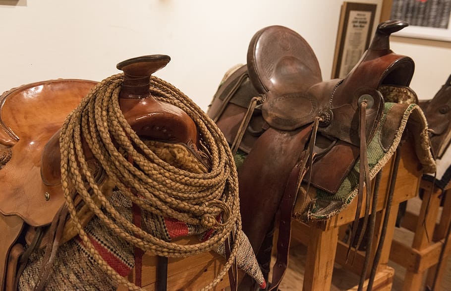 Horse Saddle Chair, focus on foreground, equestrian, art and craft, pair