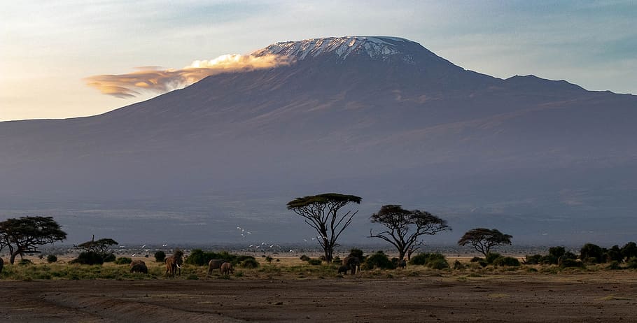 Mount Fuji, cloud  sky, savannah, tourism, no people