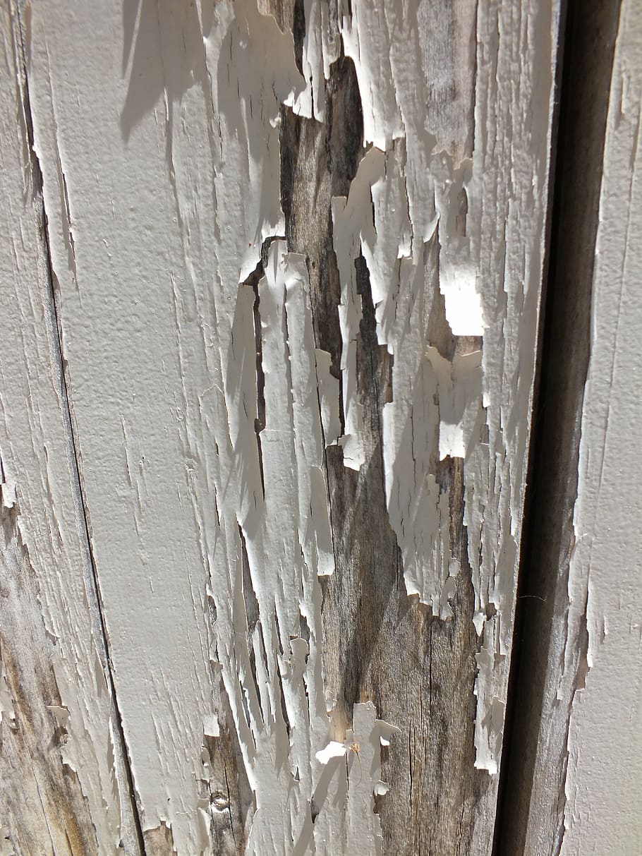 Painting Over Peeling Paint, full frame, wood  material, peeling off, damaged Free HD Wallpaper