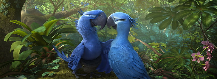 Rio 2 Sequel, 2014, animal themes, bird, movie Free HD Wallpaper