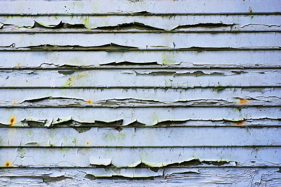 Sugar Cookie Texture, weathered, peeling off, outdoors, pattern