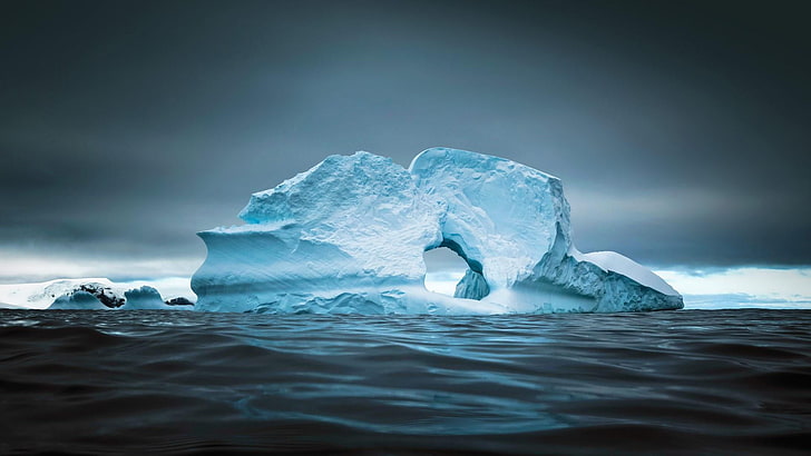 Cierva Cove Antarctica Penguin, cold, nature, blue, no people Free HD Wallpaper