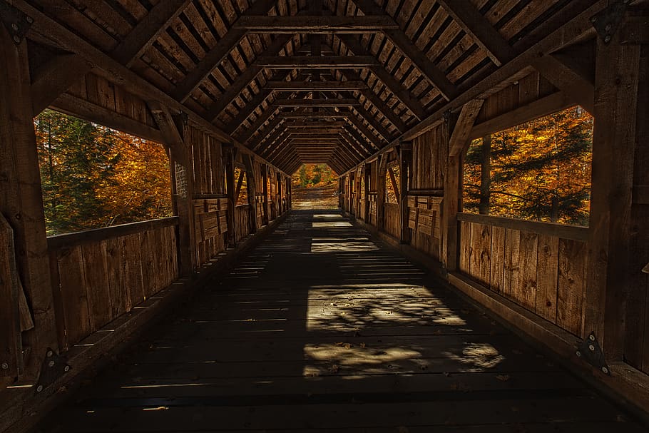 Covered Bridges in Fall, footpath, nature, diminishing perspective, arcade Free HD Wallpaper