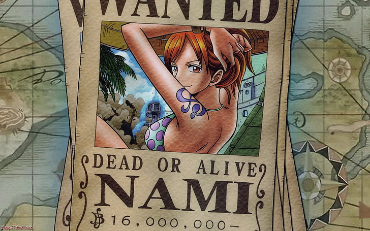 Dead or Alive Outfits, one, nami, one piece, piece