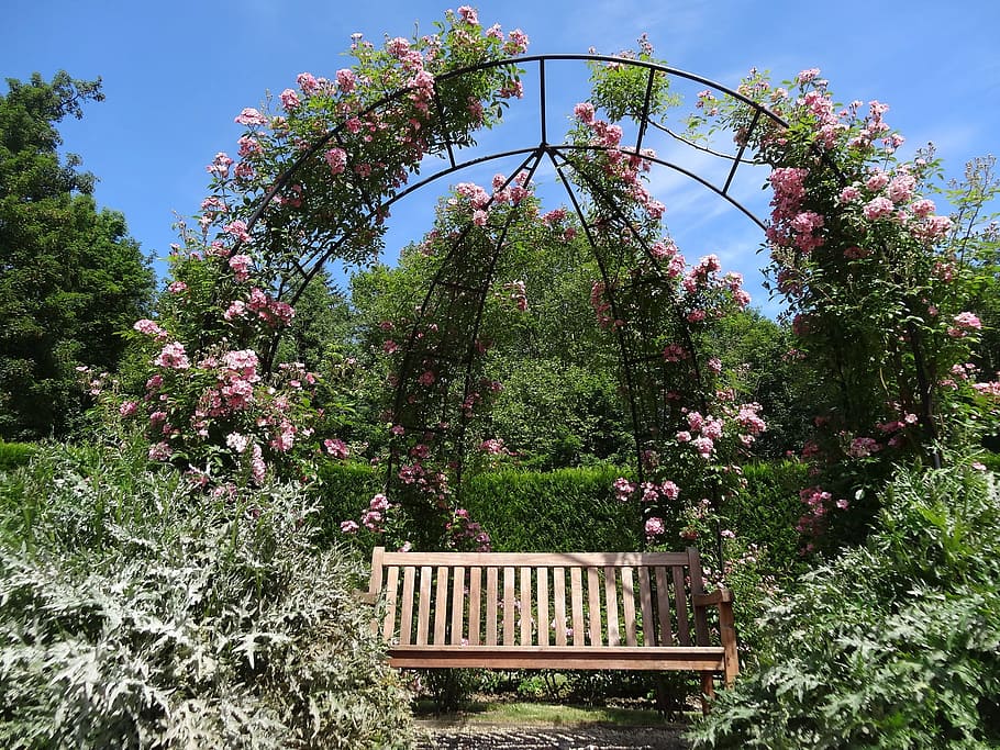 Decorated Wedding Arches, summer flowers, day, pink color, pale pink Free HD Wallpaper