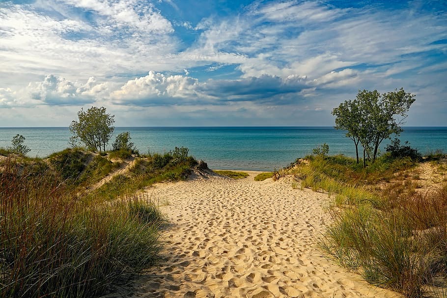 Dune Grass, outdoors, vacation, grass, tranquil scene Free HD Wallpaper