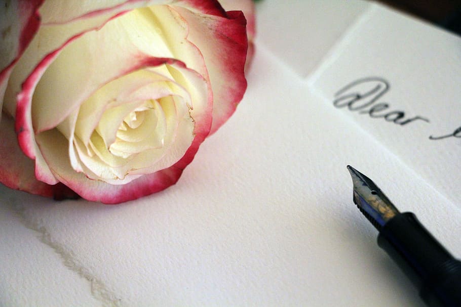 friendship, writing instrument, rose  flower, rose Free HD Wallpaper