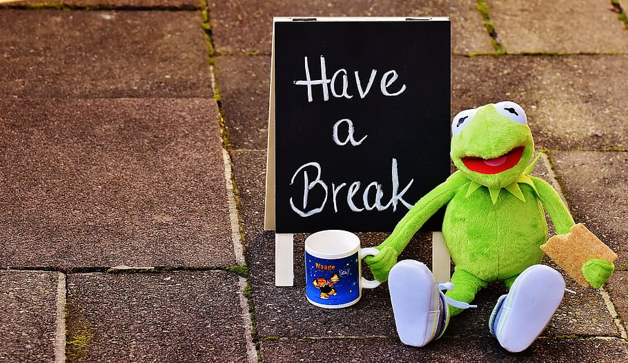Kermit the Frog Drinking Beer, closeup, text, benefit from, communication Free HD Wallpaper