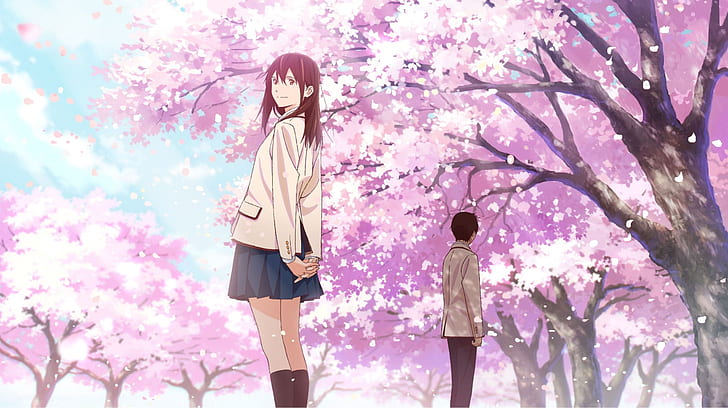 Let Me Eat Your Pancreas, sakura yamauchi, anime, i want to eat your pancreas, haruki shiga Free HD Wallpaper