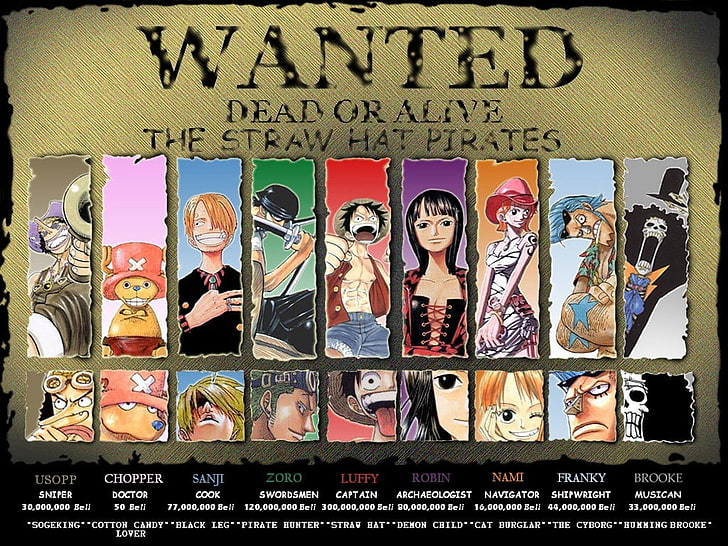 One Piece Straw Hats, variation, hat, one piece, teenager Free HD Wallpaper