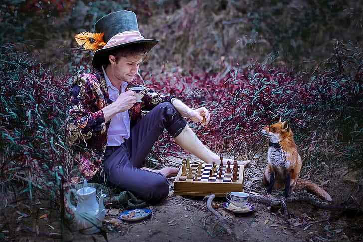 party,, tea, hat,, fox