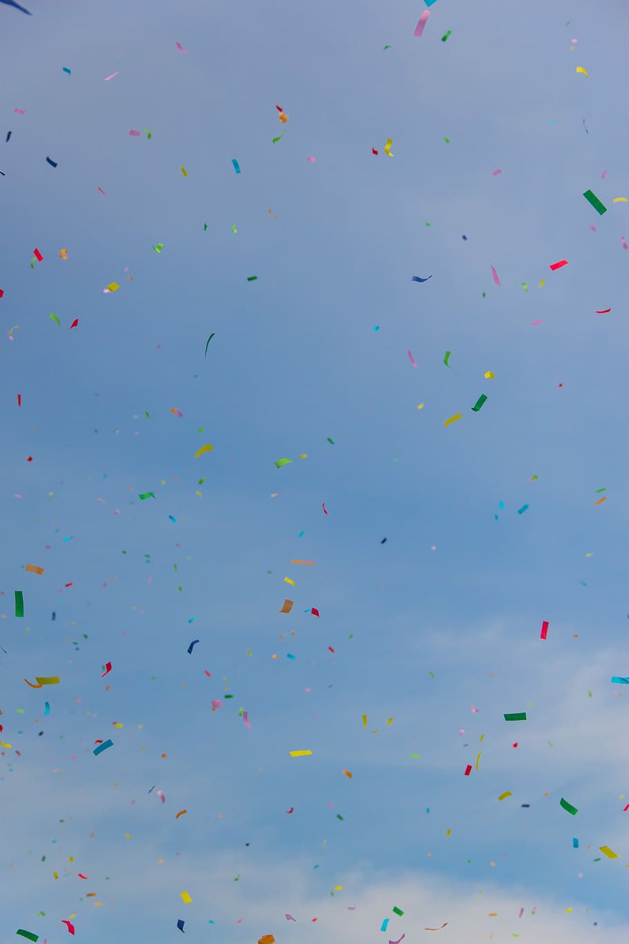 Rose Petal Confetti, large group of objects, event, midair, pink color Free HD Wallpaper