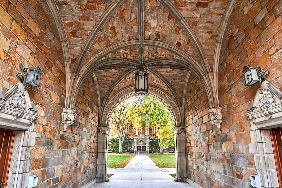 University of Michigan Ann Arbor Campus, architecture, built structure, place of worship, ceiling Free HD Wallpaper