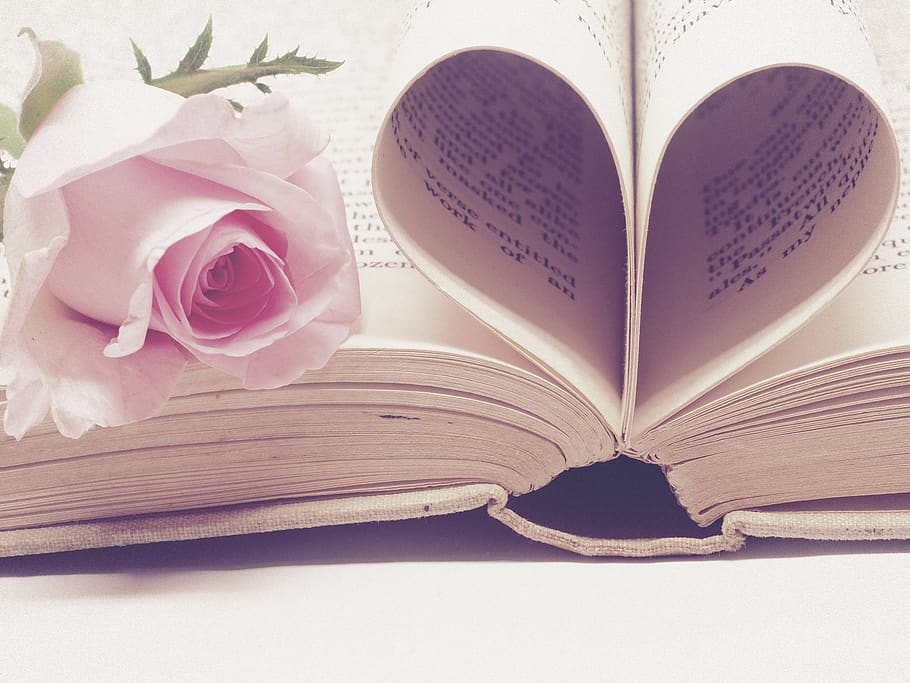 Valentine's Day Crafts, blog, pale, book, love Free HD Wallpaper