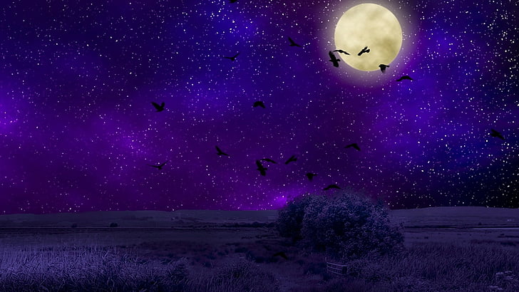 Beautiful Purple Sky, moonlight, darkness, space, stars Free HD Wallpaper