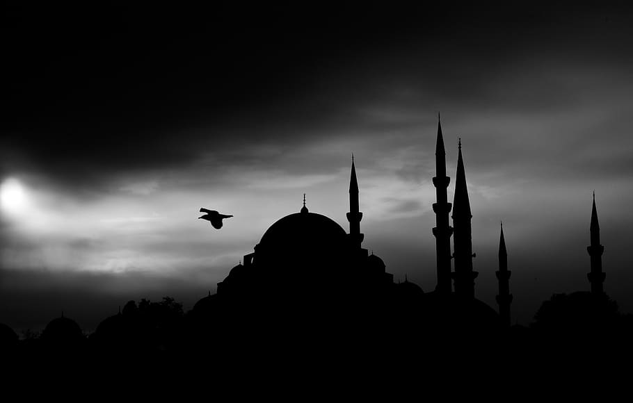 Black and White, there is, architecture, sleymaniye, built structure Free HD Wallpaper