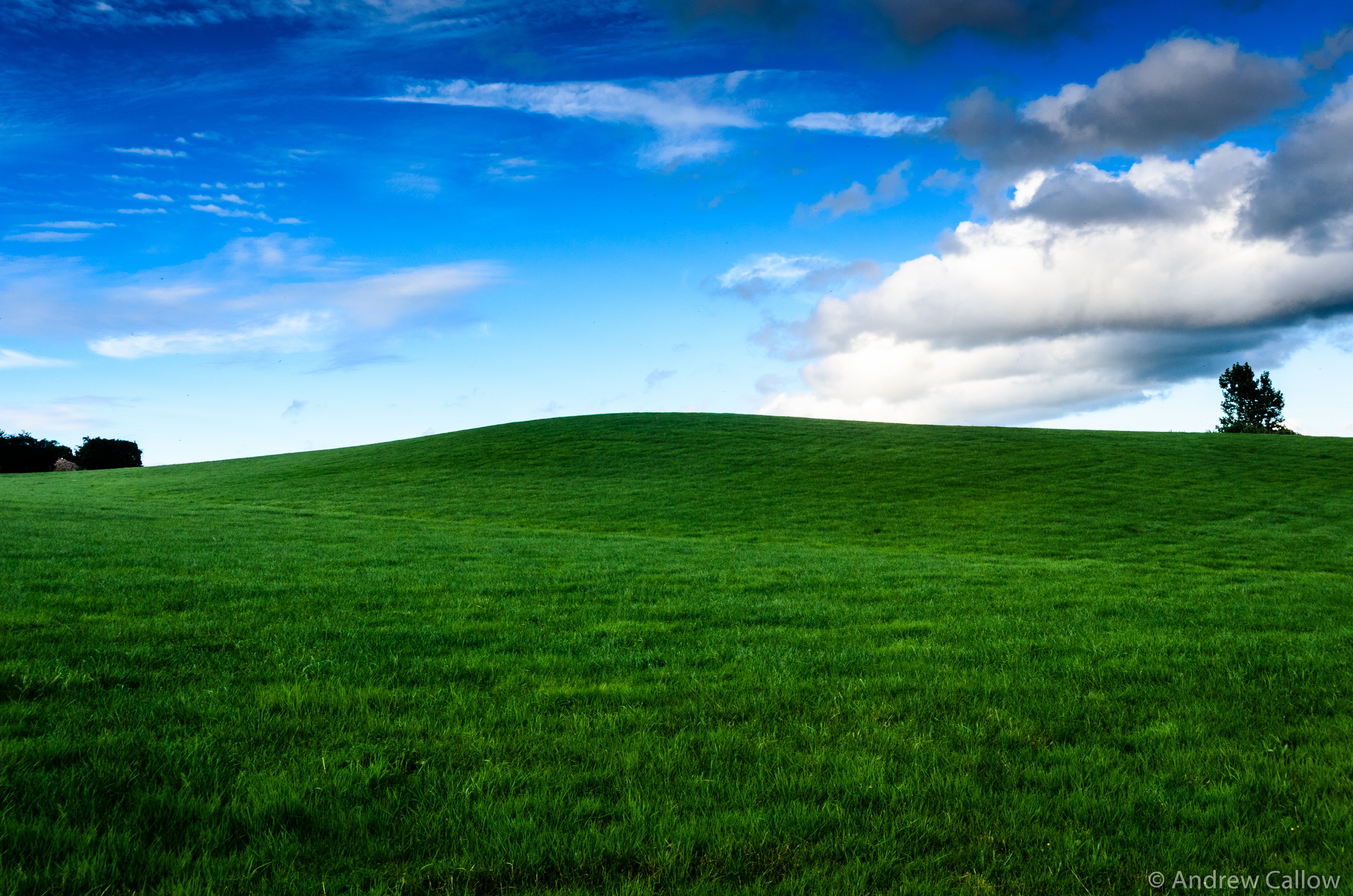 Desert Landscape, meadow, europe, green color, scenics