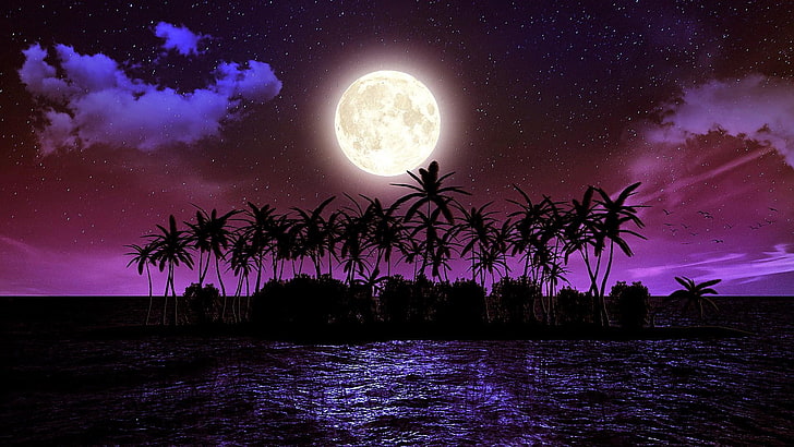 Dusk Clouds, magic, starry sky, supermoon, purple sky