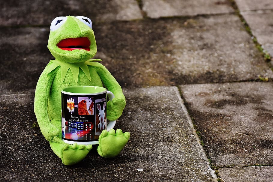 Kermit the Frog with Glasses, coffee, green color, frog, container Free HD Wallpaper