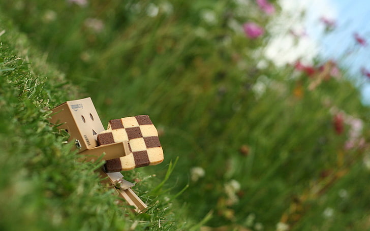 leisure games, selective focus, cube shape, outdoors Free HD Wallpaper