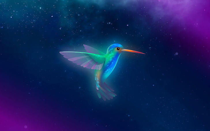 Linux Operating System Versions, bird, blue, starry sky, purple Free HD Wallpaper