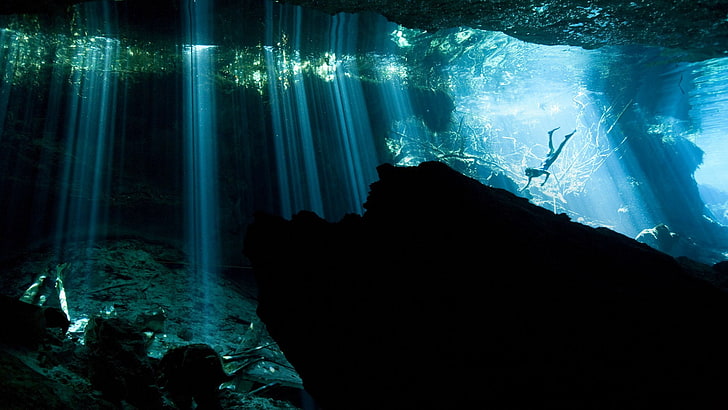 motion, sport, animal wildlife, cave