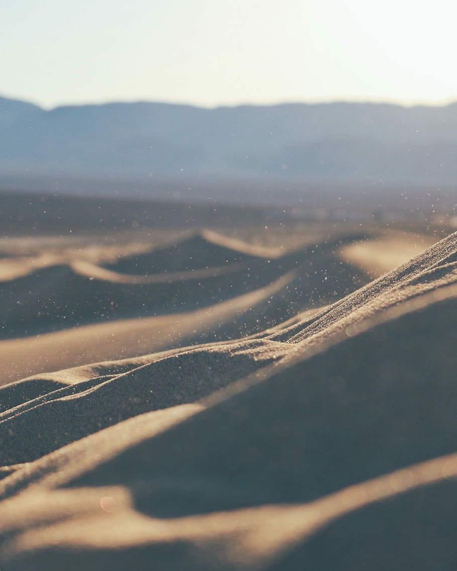 Ocean Beach Sand Dunes, winter, beauty in nature, sunlight, outdoors Free HD Wallpaper