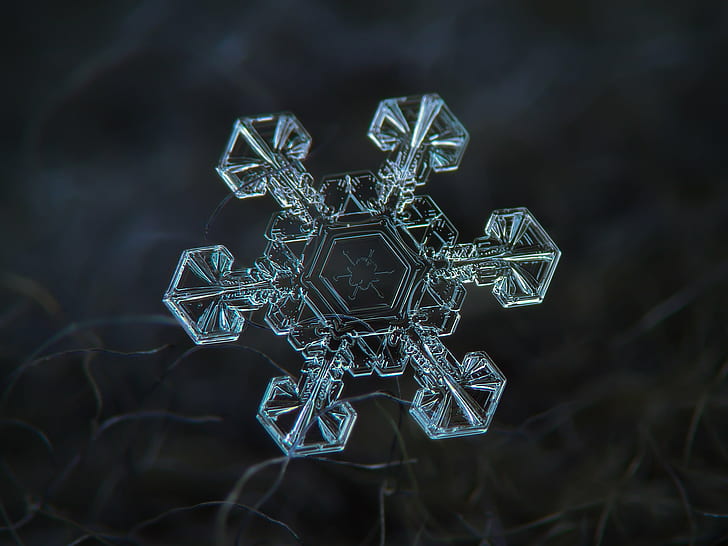 Real Life Snowflake, woolen, frosted, abstract, design Free HD Wallpaper