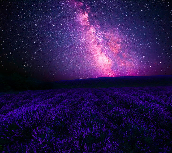 star  space, landscape, field, flowering plant Free HD Wallpaper