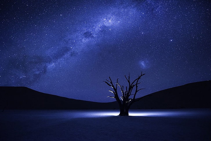 Stars and Trees, milky way, namibia, star  space, trees Free HD Wallpaper