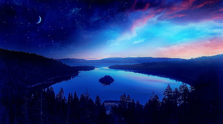 tree, sky, lake, starry sky Free HD Wallpaper