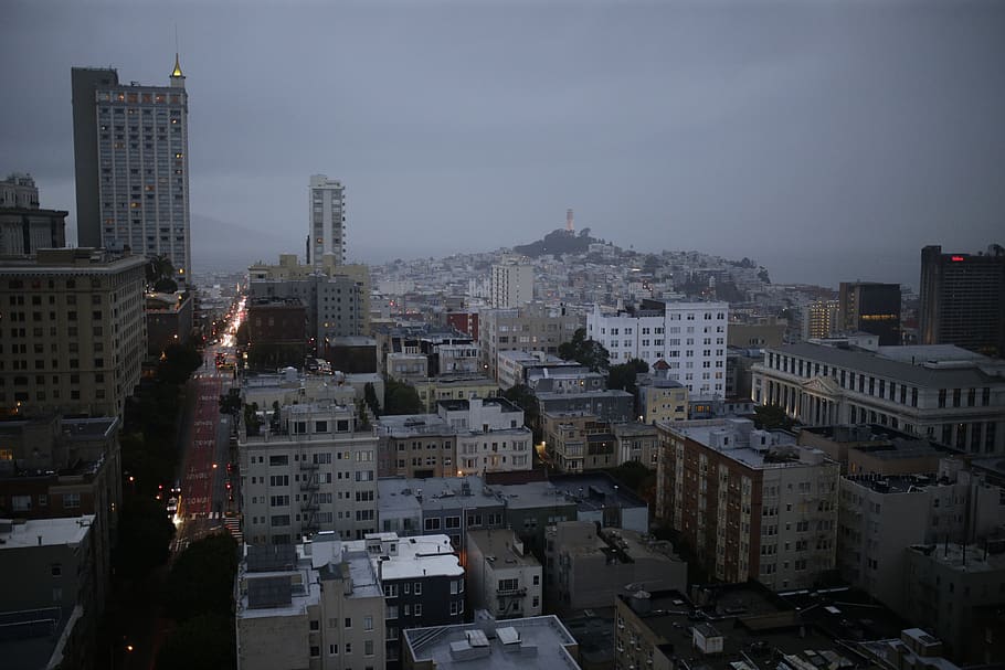 Aesthetic Mood, skyscraper, architecture, tower, outdoors