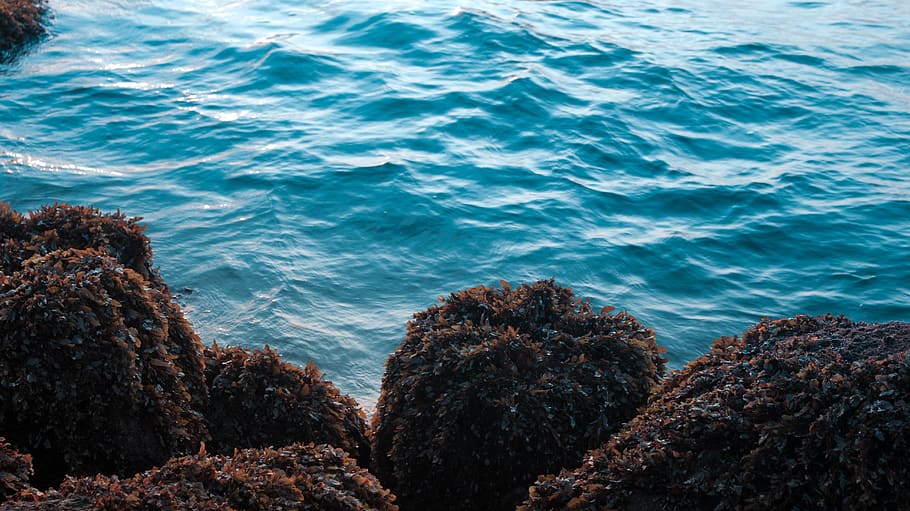 Aesthetic Painted Rocks, beach, tranquility, high angle view, no people Free HD Wallpaper