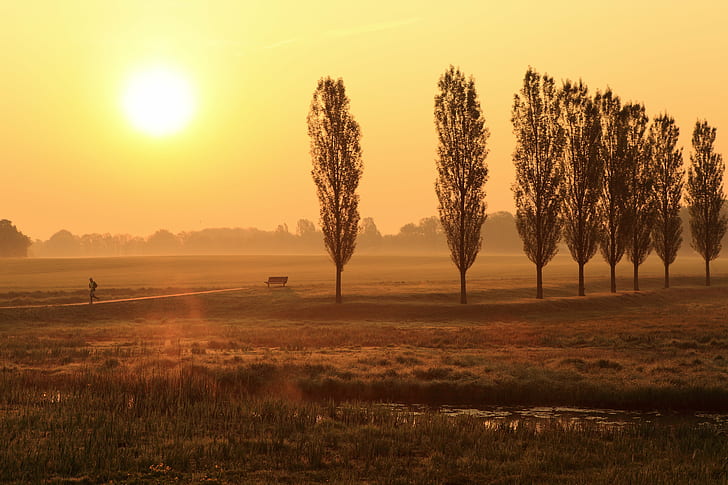 Afbeelding Landschap, rural scene, mist, fog, nature Free HD Wallpaper