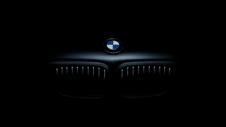 BMW Logo Meaning, bmw, cut out, nature, connection Free HD Wallpaper