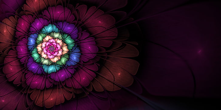 Fibonacci Art, no people, flowers, fractal flowers, electric lamp Free HD Wallpaper