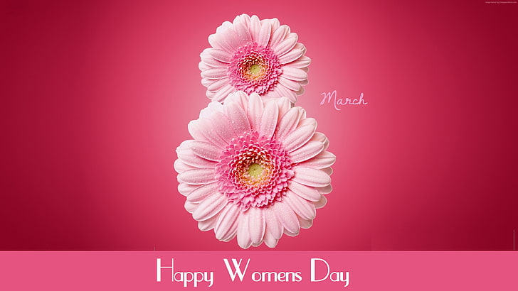 flowers, 8,, march 8, international womens day Free HD Wallpaper