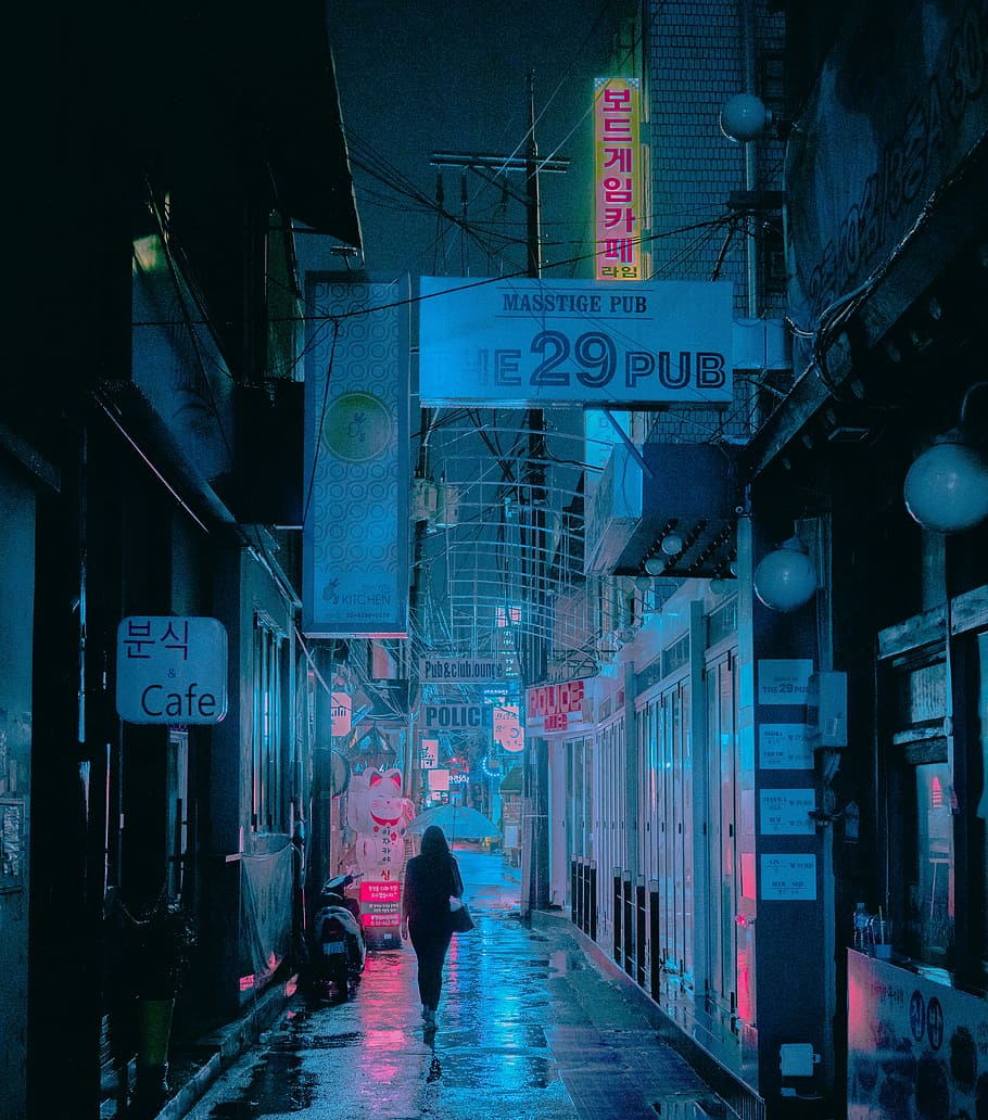 Japanese City at Night Aesthetic, night photography, city, rain, south korea