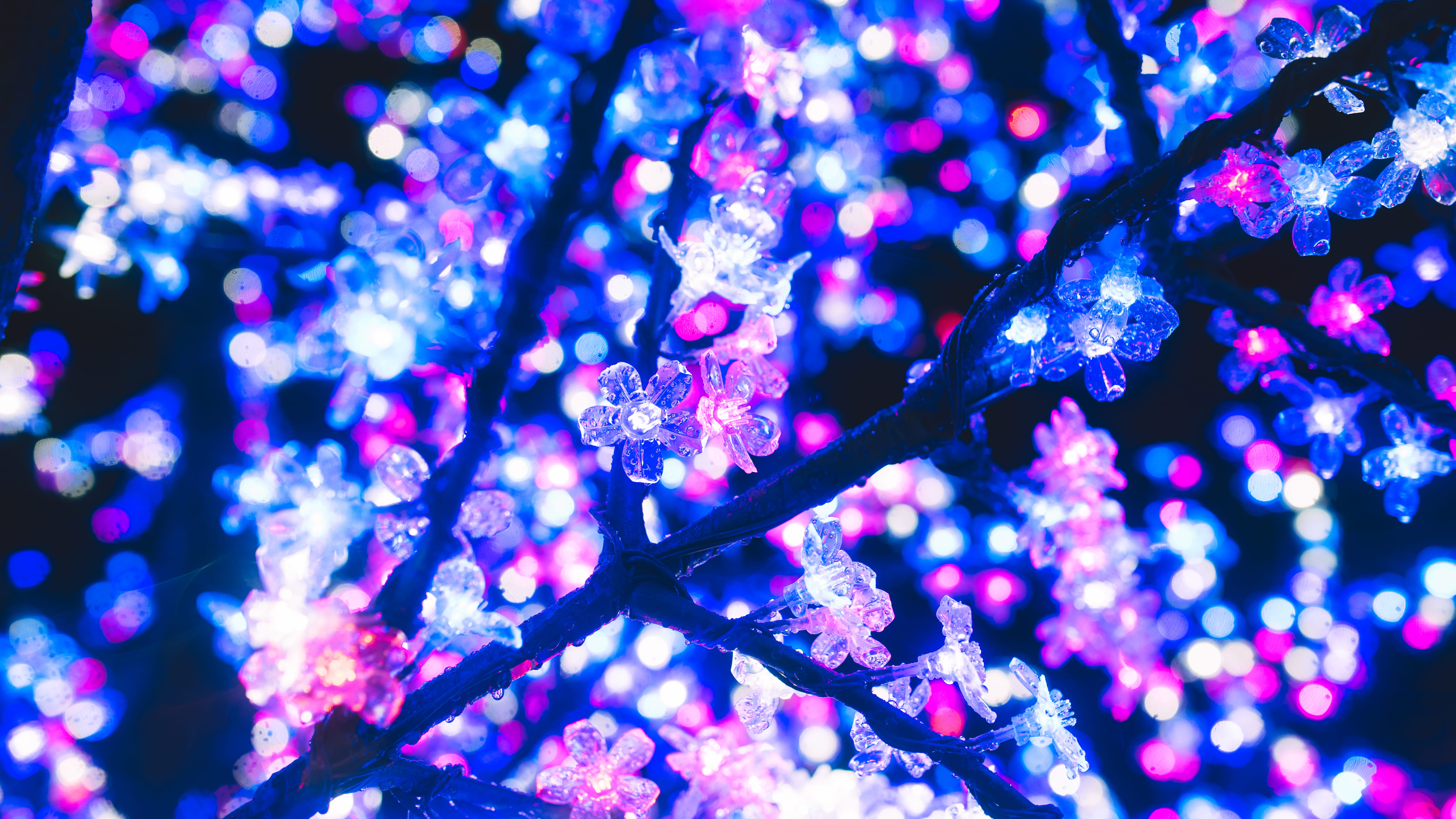 Neon Music PNG, tree, aesthetic, decoration, nature