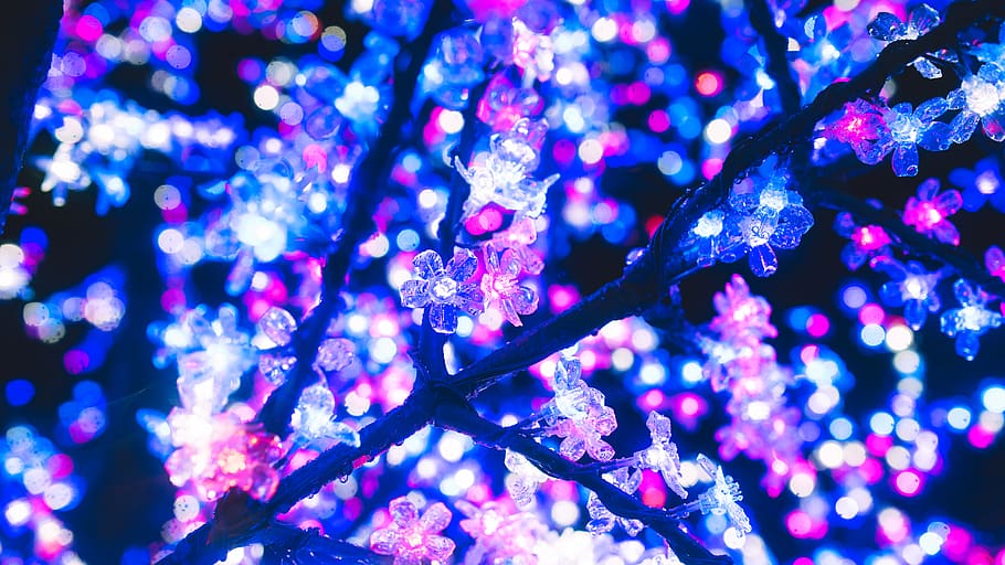 Neon Music PNG, tree, aesthetic, decoration, nature Free HD Wallpaper