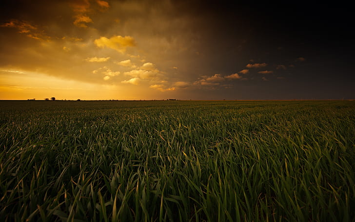 3840X1440, plains, Painted Plains, landscape, painted Free HD Wallpaper