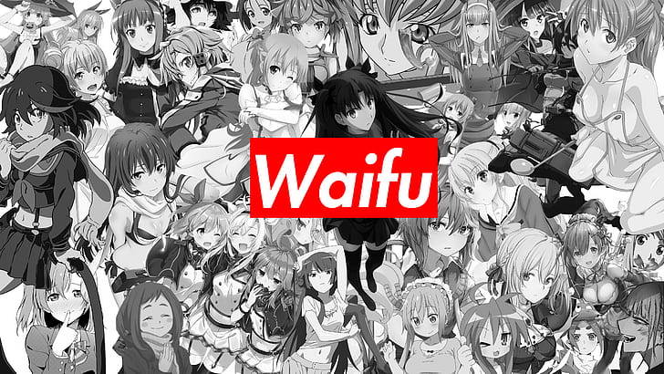 Anime Waifu Logos, anime, monochrome, no waifu, anime girls Free HD Wallpaper