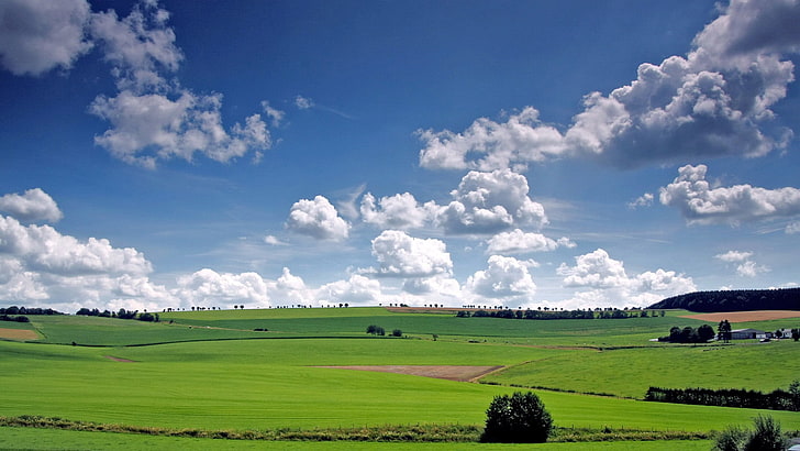 Baseball Field Grass, scenery, land, season, tranquil scene