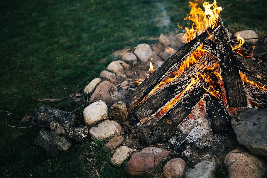 Campfire Day, log, tree, coal, flame Free HD Wallpaper