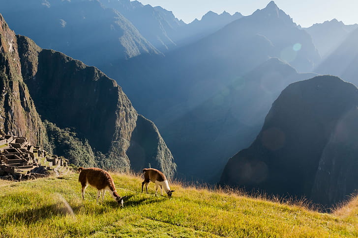 City of Machu Picchu, mountain, european alps, meadow, mountain peak Free HD Wallpaper