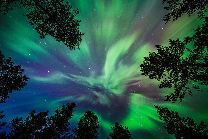 Fairbanks Alaska Aurora Borealis, outdoors, northern, sky, nature Free HD Wallpaper