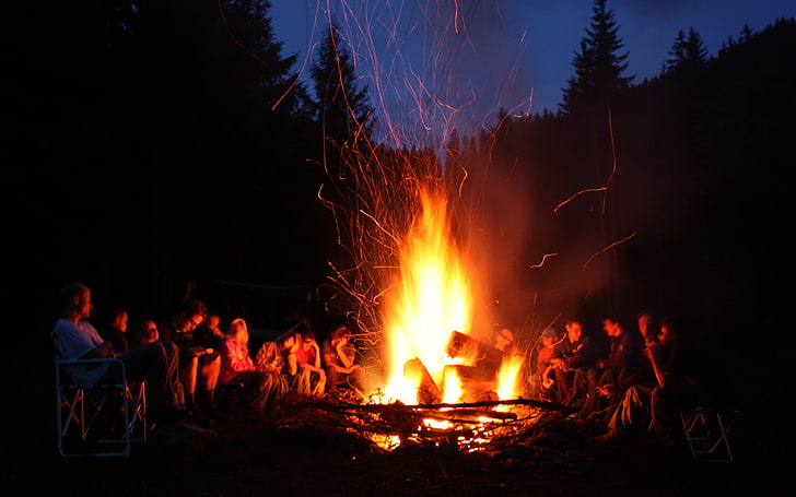 Fire Pit Party Ideas, tree, group of people, summer, leisure activity Free HD Wallpaper