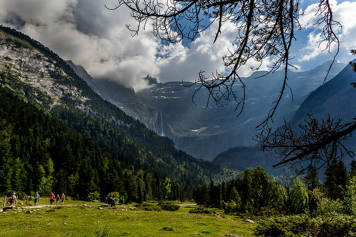 Forest On Mountain, camera, cat  city, search, photos