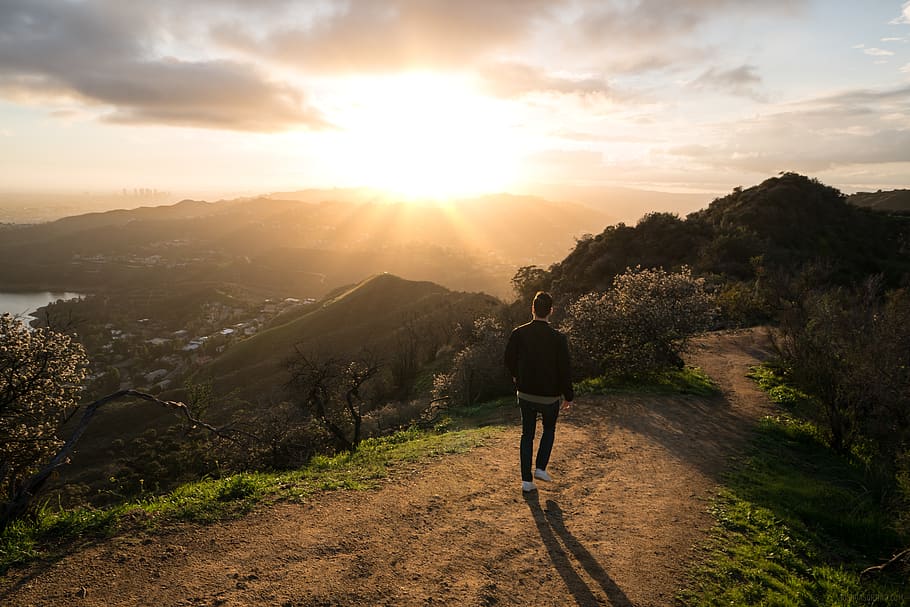 Hollywood Walk of Fame, scenics  nature, tranquility, highres, leisure activity Free HD Wallpaper