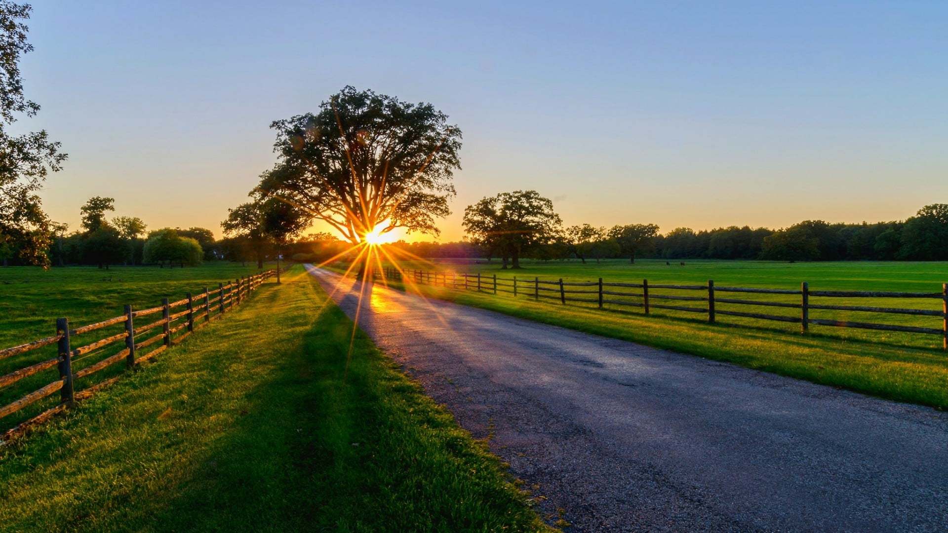 land, lens flare, sun, light